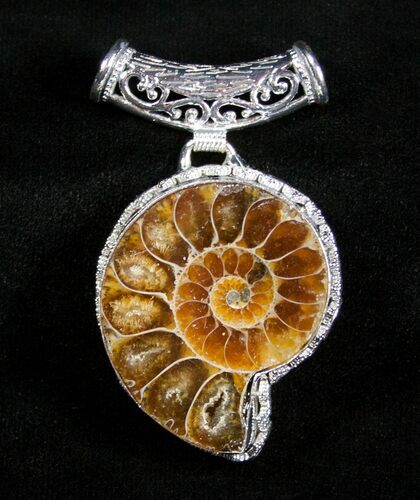 Ammonite Pendant #3152